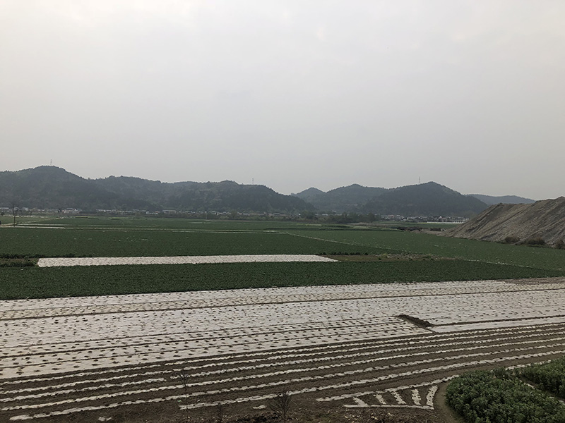 市、縣領(lǐng)導(dǎo)現(xiàn)場(chǎng)調(diào)研天馬50萬(wàn)噸玻瓶項(xiàng)目(圖7)